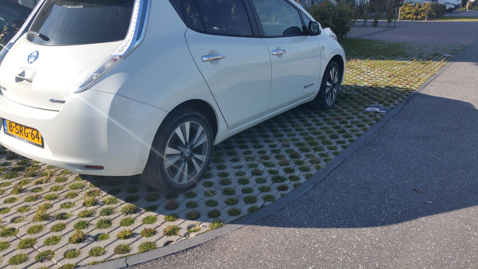 Personbil parkeret på græsarmering i beton, hvor græsset gror op gennem hullerne