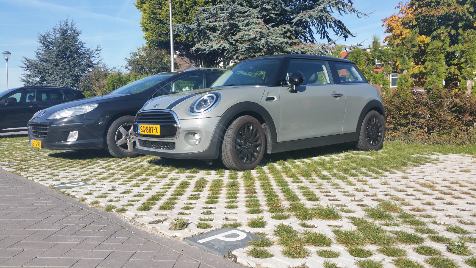 Biler parkeret i afmærkede båse på græsarmering, med P-markering støbt ned i fladen