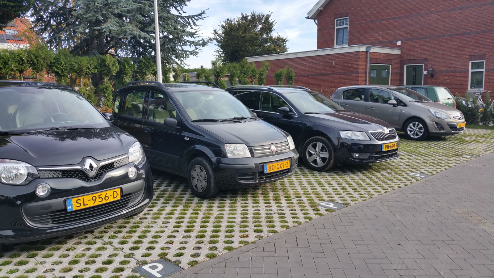 Parkerede biler på græsarmering, hvor græsset er tyndest i de faste båse